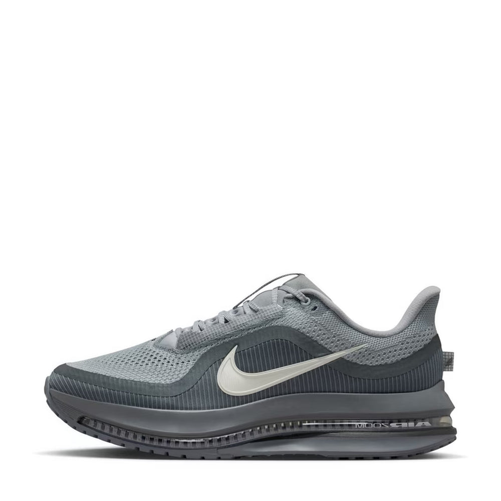 Nike Pegasus Premium 41 Gris