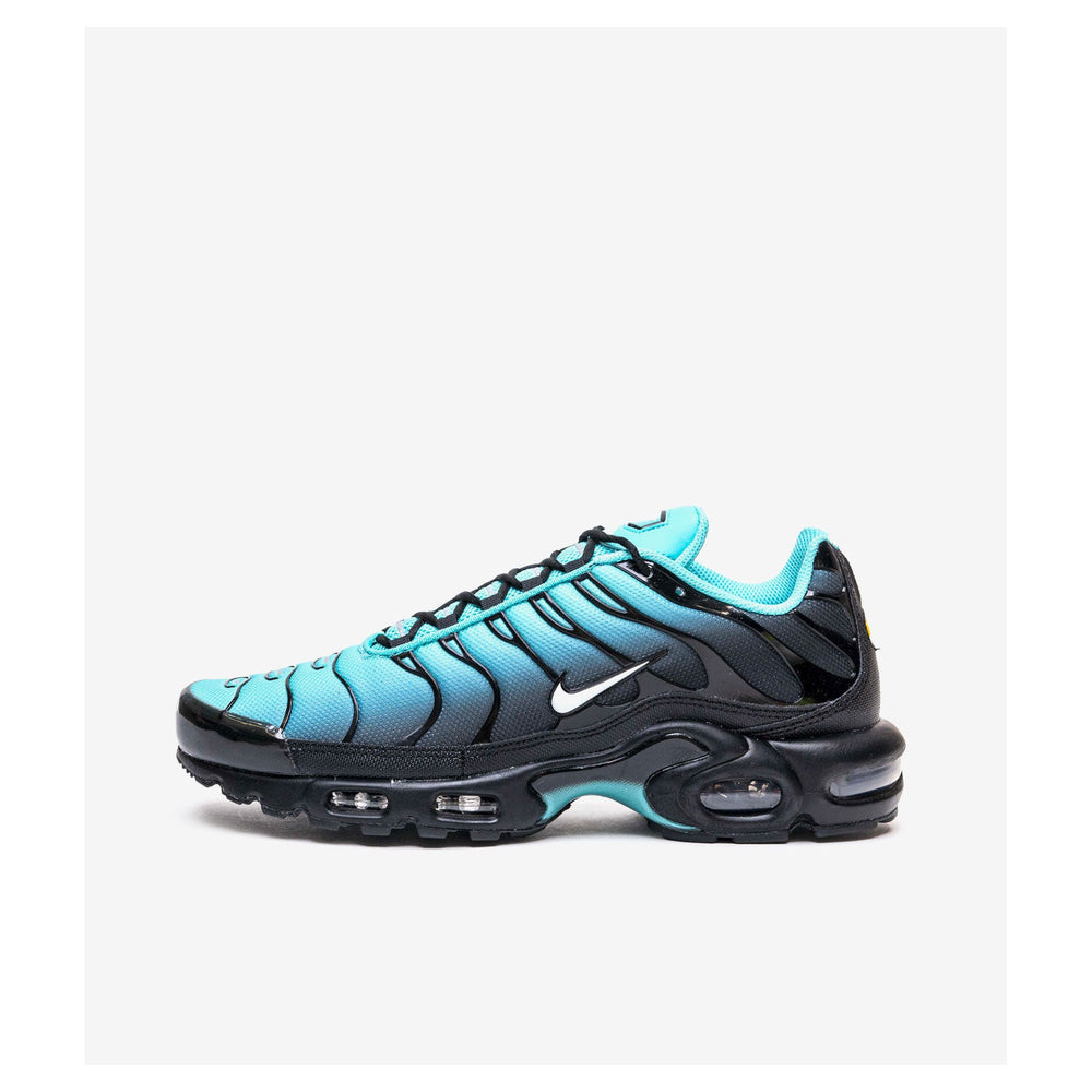 Nike Air Max Plus Light Retro Blue